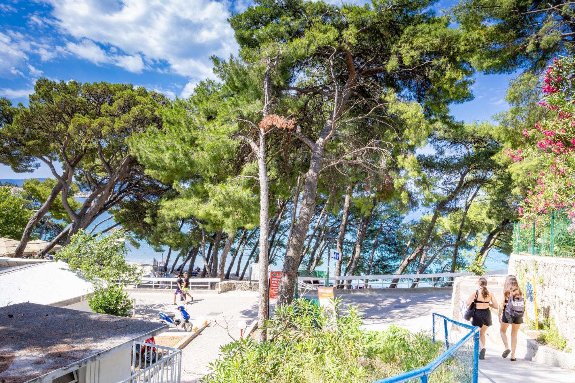 Beachfront Seashell Srzic Apartment Makarska